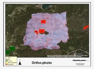Orthophoto With World Map Backdrop - Map #4065912