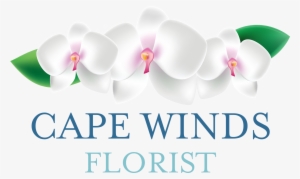 Cape Winds Florist #4066037