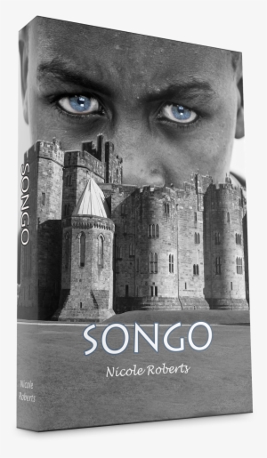 3d Ebook Cover - Northanger Abbey By Jane Austen 9781535193504 (paperback) #4066081