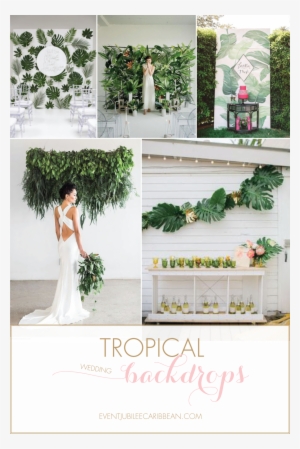 Tropical Wedding Backdrop Ideas Via Jubilee Events - Wedding Backdrop Ideas #4066545