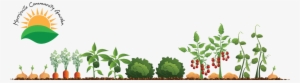 Garden Clipart Community Garden - Vegetable Garden Illustration #4066783