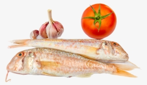 Pescado - Cullera #4067506 Pescado - Cullera #4067506