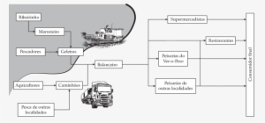 Cadeia De Suprimentos Simplificada Do Mercado De Pescado - Cadeia Produtiva Do Pescado #4067618