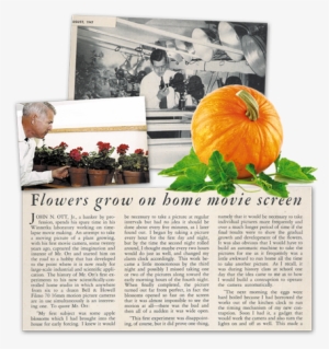 Following Several Experiments, Dr - Pumpkin #4068475