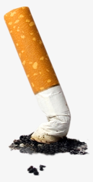 Cigarette - Dia De Combate Ao Fumo #4068685