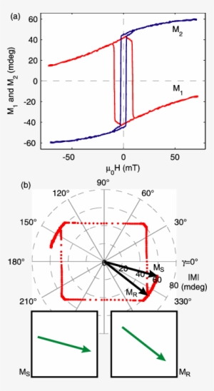 Magnetization Curves For M 1 And M 2 In 7 @bullet Off - Magnetization #4068874