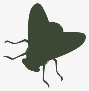 Fly - Portable Network Graphics #4068928