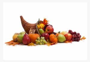 Thanksgiving Dinner - All The Way Home Ebook #4069008