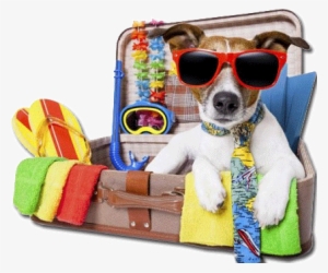 Perro Y Maleta - Poster: Brosch's Summer Holiday Dog, 61x46cm. #4070095