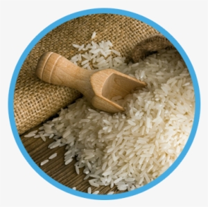 Museo Del Arroz - Plastic Rice In Pakistan #4070328