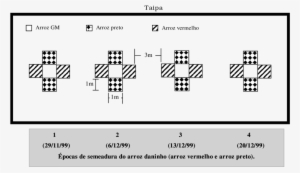 -croqui Do Experimento Instalado No Campo Para Estudo - Science #4070485