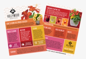 Need Help Growing And Caring For Your Plants - Email #4071008