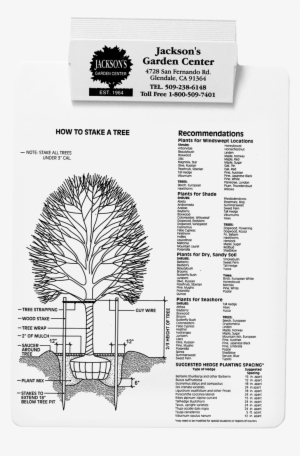423 Tree Plantinghires - Tree #4071246