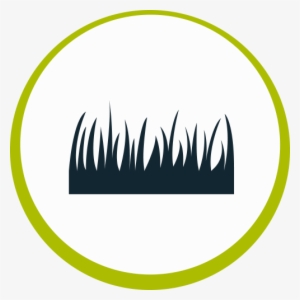 Drystock - Agrisea Nz #4071537