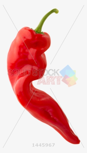 Stock Photo Of Twisted Red Sweet Chili Pepper On Transparent - Stock Photography #4072263
