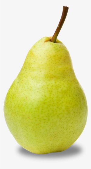 May Cause Allergic Reactions - Pear With White Background #4072885