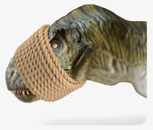Ftestickers Dinosaur Morred Tied Rope Stickers Freetoe #4073153