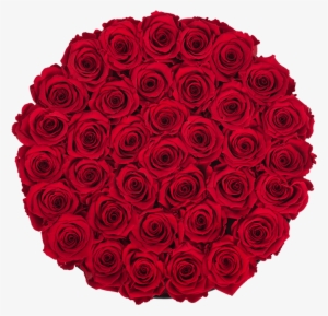 Prev - New York City #4073399