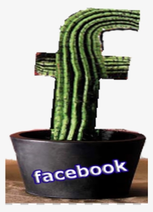 Contact - Weberocereus #4073856