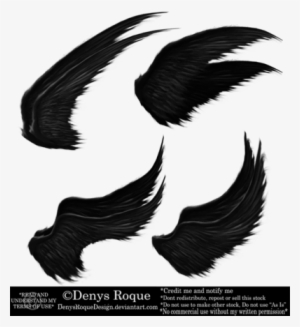 Alas Negras Png #4073860