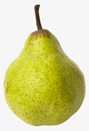 1 Unit - Pear - Fake Food #4073867