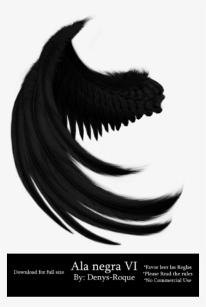 Ala Negra 6 Por Denys Roque Por Denysroquedesign Alas - Alas Negra #4073921