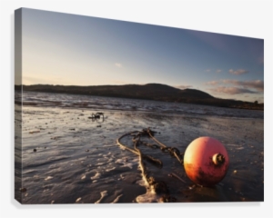 Dumfries, Scotland - Mudflat #4073984