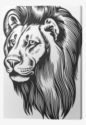 Aslan Kafasi #4074853