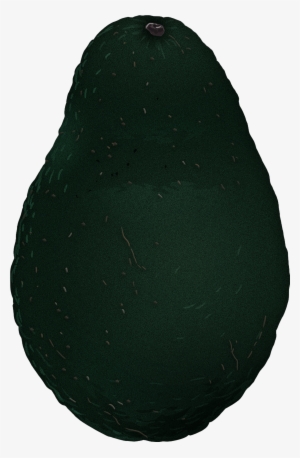 Both Vitamin B6 And Pantothenic Acid Help The Body - Baltic Clam #4076146