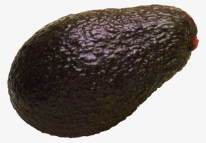 Avocado #4076210