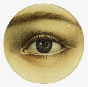 Eye - John Derian Eye #4076267