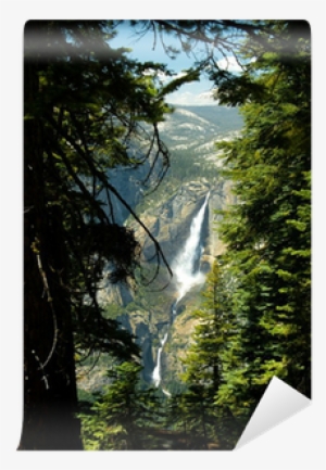 Woodland #4076501