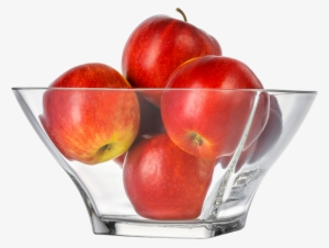 Stephanie Bowl - Seedless Fruit #4076559