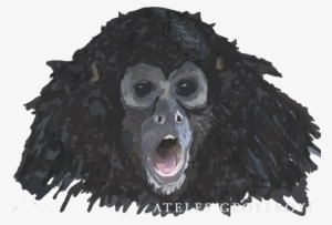 Viejo Verde - Hot - Bird #4076833