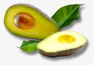 Bannerimage - Food #4076861
