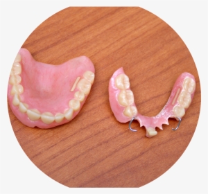 Dentures - Hardwood #4077020