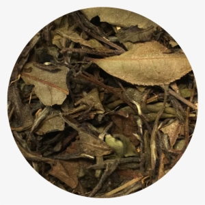 Vanilla Chai Tea #4078014