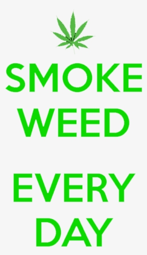 Go Big Or Get Lost #4078203