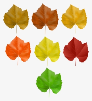 Grape Leaves Png #4078870