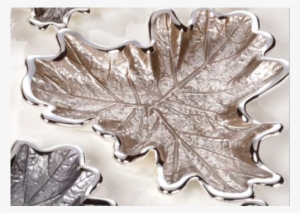 Grape Leaves #4079082