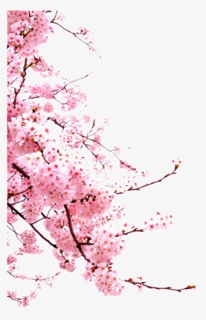 Romantic Watercolor Cherry Blossom Bouquet - Watercolor Flower Svg ...