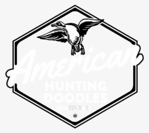 Doodle Lines Png #4079710