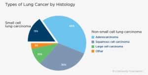 Types Of Lung Cancer - Common Is Lung Cancer #4080721