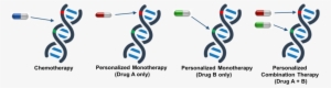 In Vitro Study Demonstrates The Benefit Of Personalized - Combination Therapy #4080741