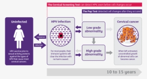 Progression Of Hpv To Cervical Cancer - Cosco Ada Restroom Signs, Men/women, 6" X 9" - 2 Pack #4081578