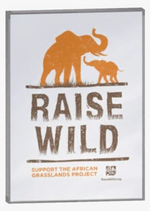 Glass Case Poster 6 - Indian Elephant #4081698