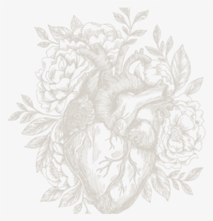 Corazon Blanco - Tattoo #4082226