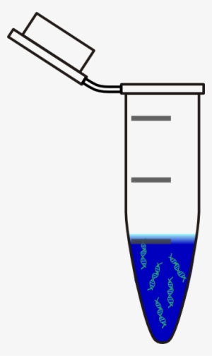 Centrifuge Tube Dna Blue Svg Clip Arts 354 X 596 Px #4082780