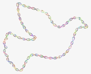 This Free Icons Png Design Of Chromatic Dna Helix Peace #4083220