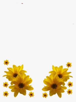 Flower Frame Png, Flowers, Gallery, Art, Birthday Wishes, - Flower Frames Images Png #4084678